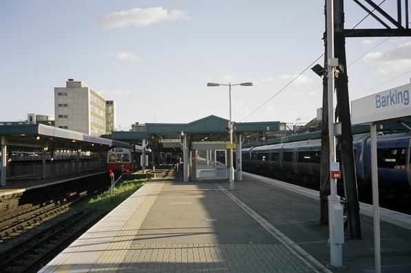 Barking platforms