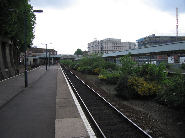 Exeter Central shrubs