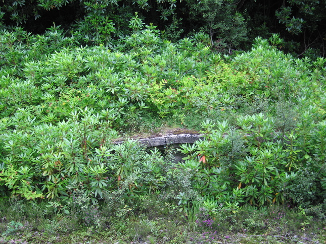Lochailort disused platform