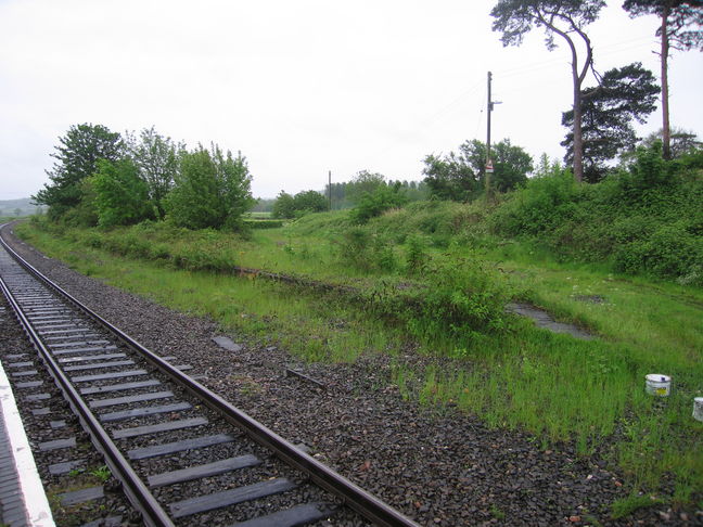 Newton St Cyres disused
platform:
</p>
<hr />
<p class=