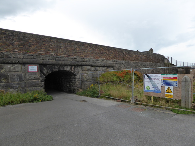 Parton bridge