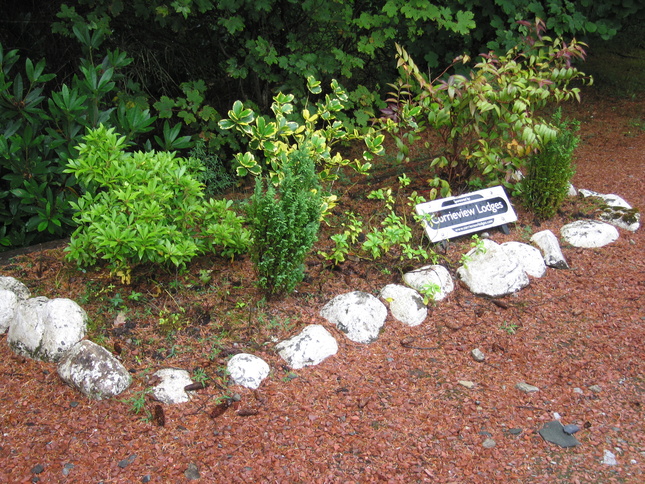 Spean Bridge plants