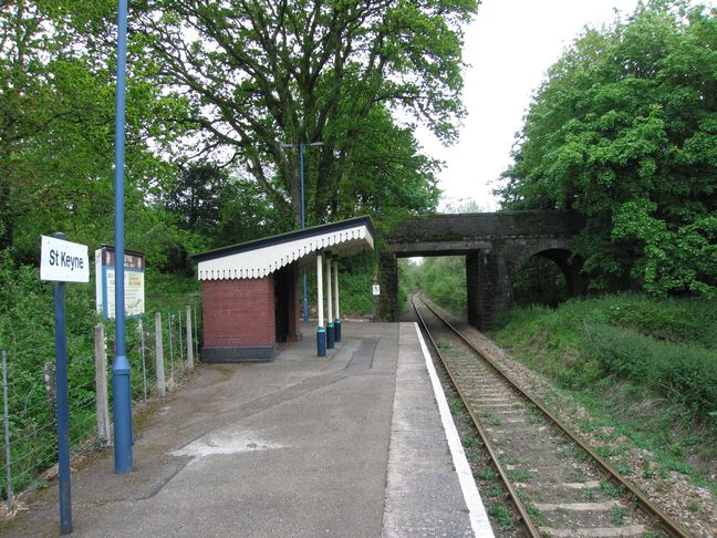 St Keyne platform