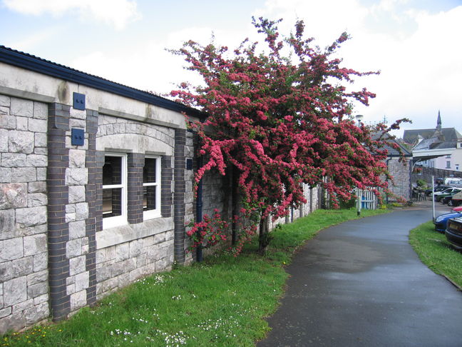 Teignmouth wall