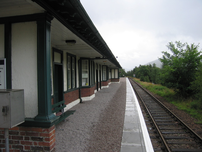 Upper Tyndrum canopy platform
2