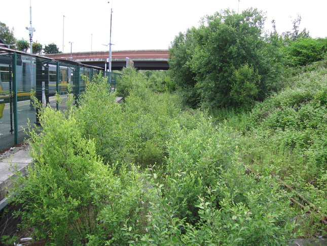 Aintree disused platforms looking
south