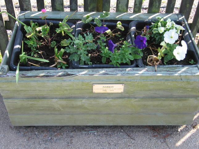 Bescar Lane planter
