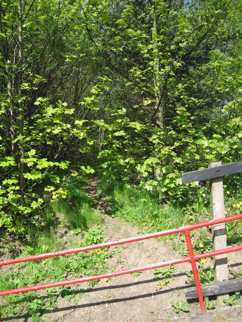 Bramley, path to old
bridge/viaduct