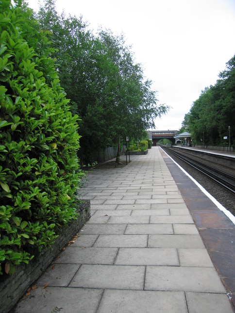 Bromborough platform 1 plants