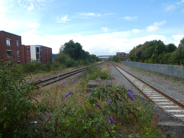 Darnall looking west