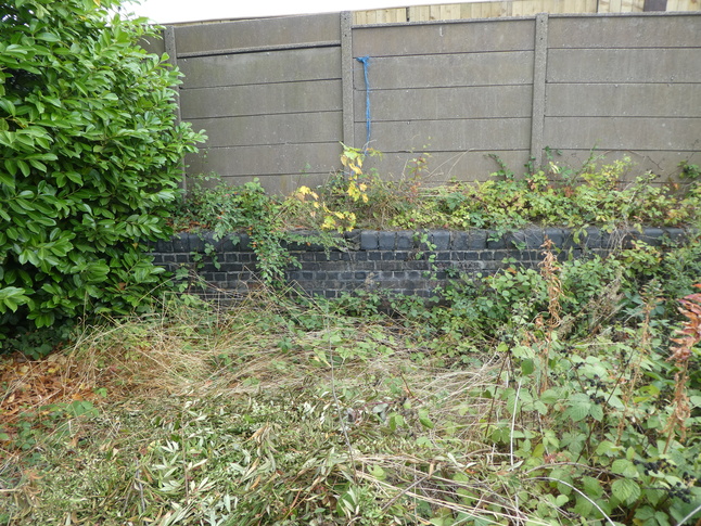 Elsecar platform 1 disused bay