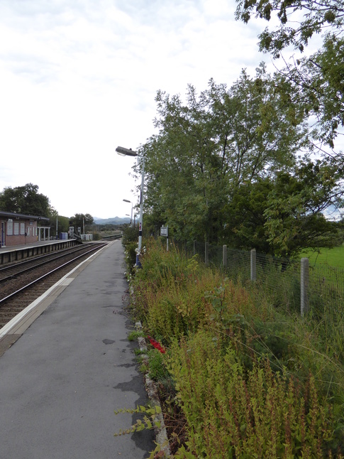 Green Road platform 2 looking north