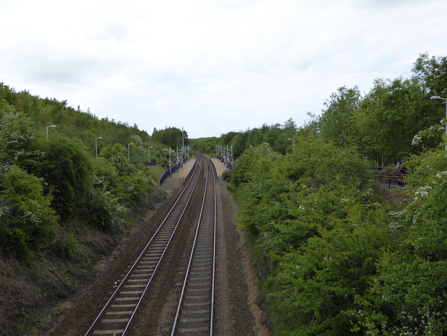 Langwith-Whaley
Thorns looking north from footbridge