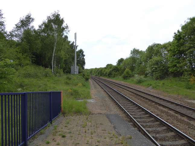 Langwith-Whaley Thorns
looking north