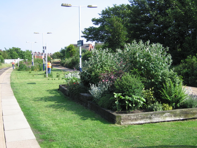 Meols Cop gardens