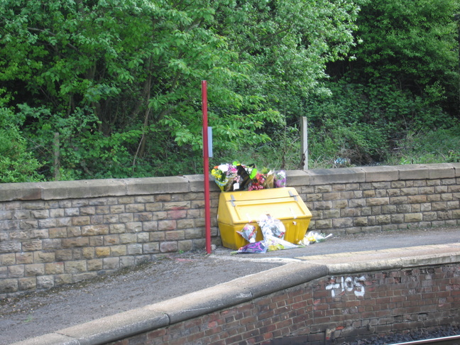 Morley flowers
