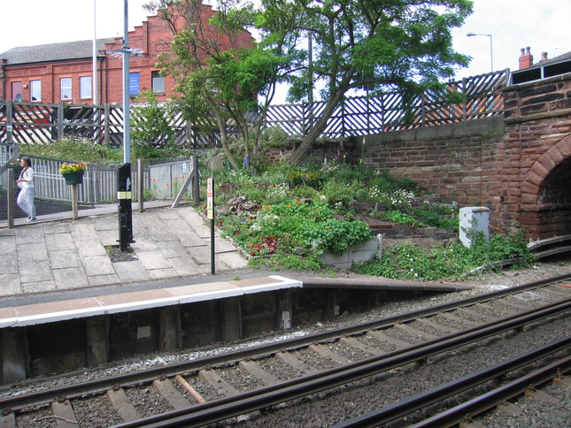 Orrell Park planting