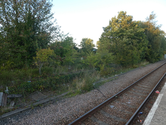 Snaith disused platform