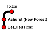 Ashurst (New Forest)