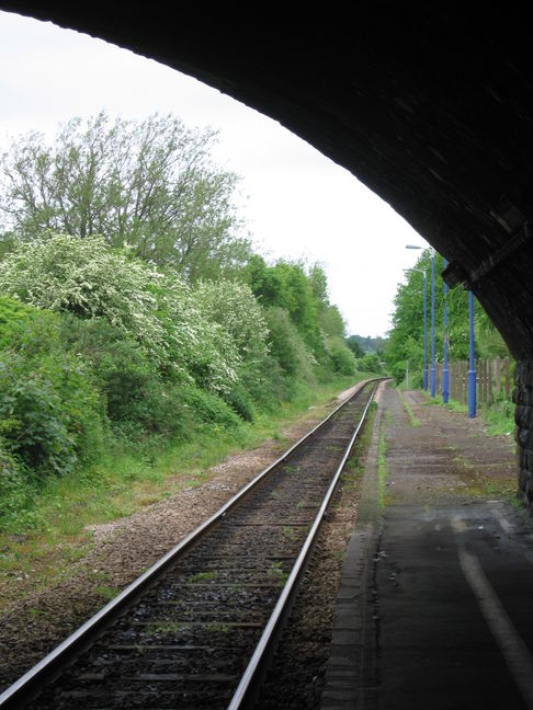 Axminster platform extra long