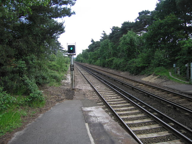 Beaulieu Road looking south