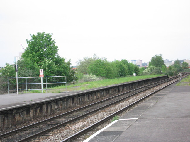 Bedminster overgrown ends