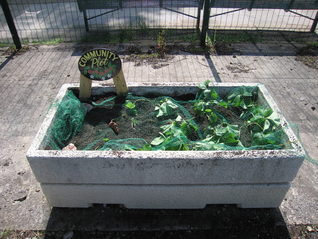 Burscough Junction community
plot