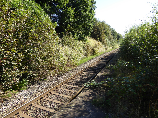 Daisy Hill platform 1 looking east