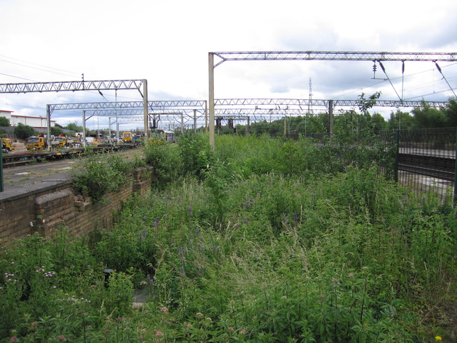 Edge Hill disused bay?