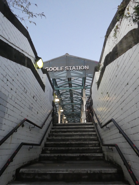 Goole platform 2 steps
