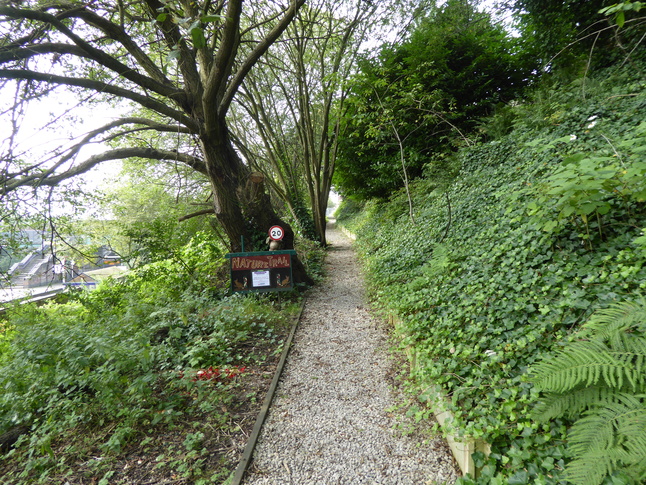 Hindley platform 1 nature trail