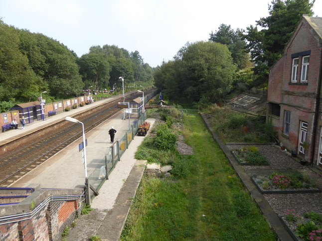 Hindley disused trackbed