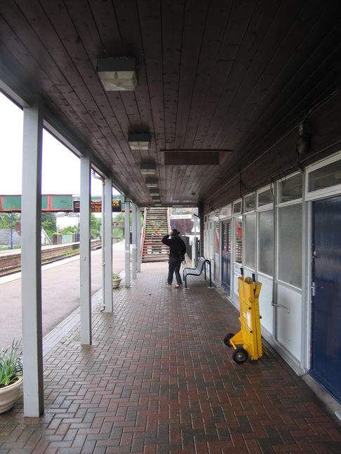 Honiton, under canopy