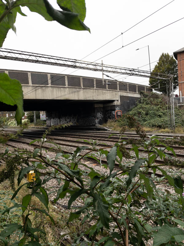 The fast West Coast Main Line passes on one side of the station, seen here looking from the footbridge end of the up platform.