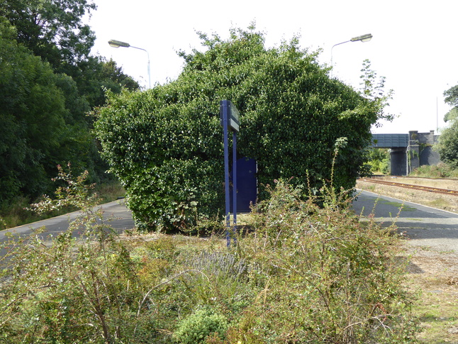 Kirkham and Wesham hedge
archway