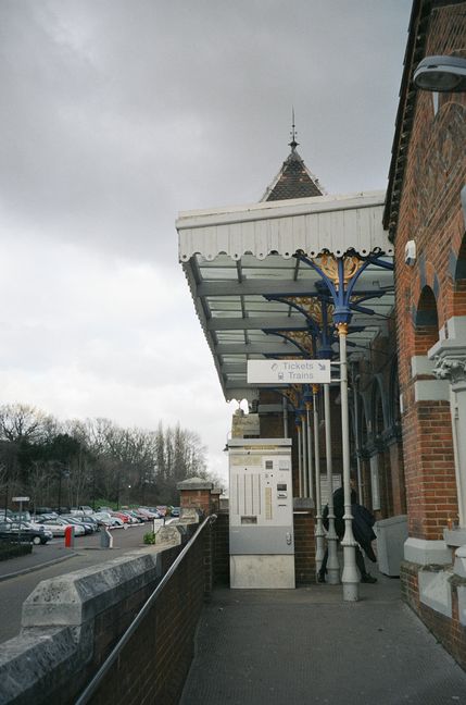 Leatherhead canopy