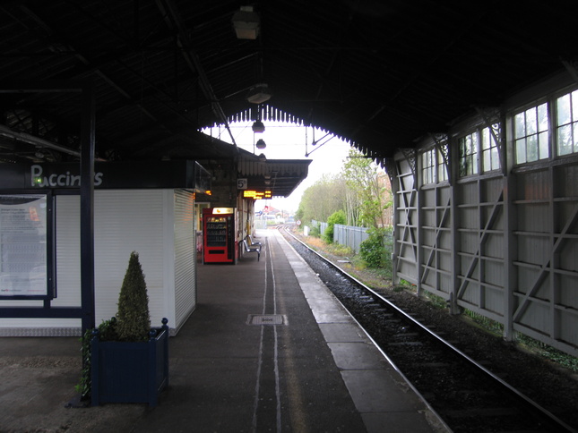 Maidenhead in shed