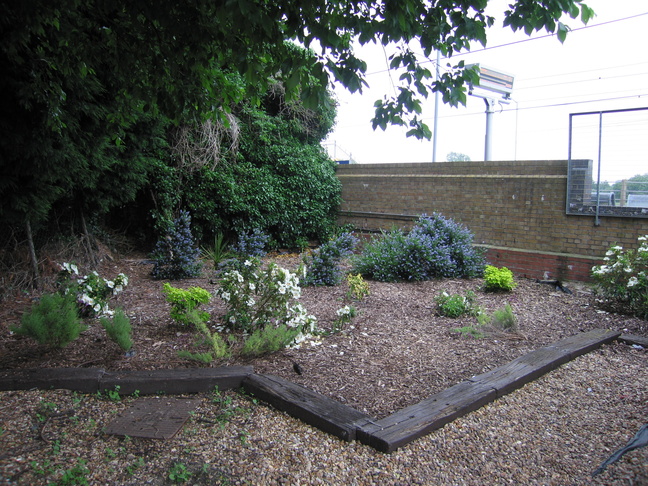 Meldreth garden