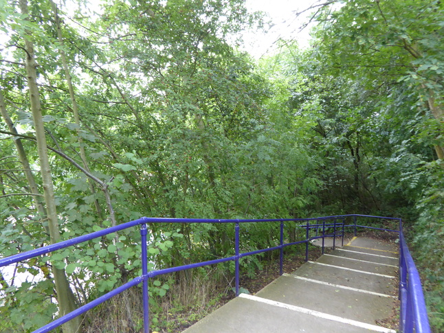 Middlewood platform 2 steps