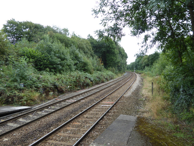 Middlewood looking east