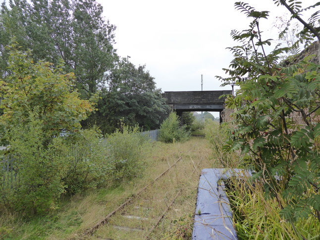 Millom disused track looking west