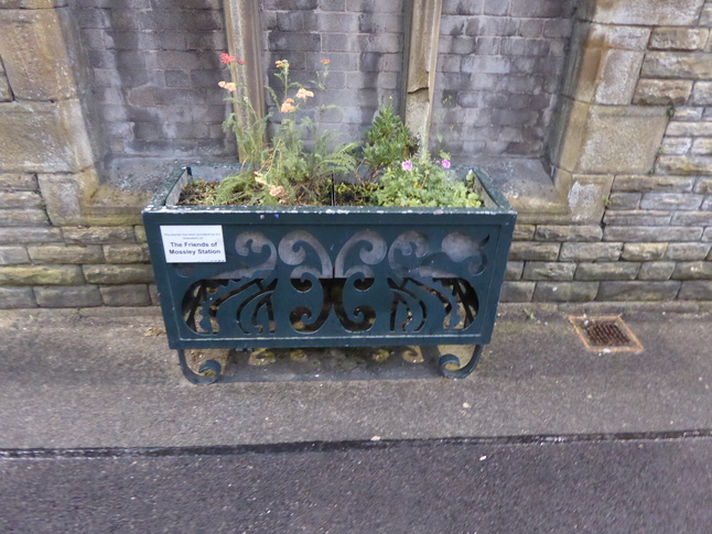 Friends of Mossley Station planter