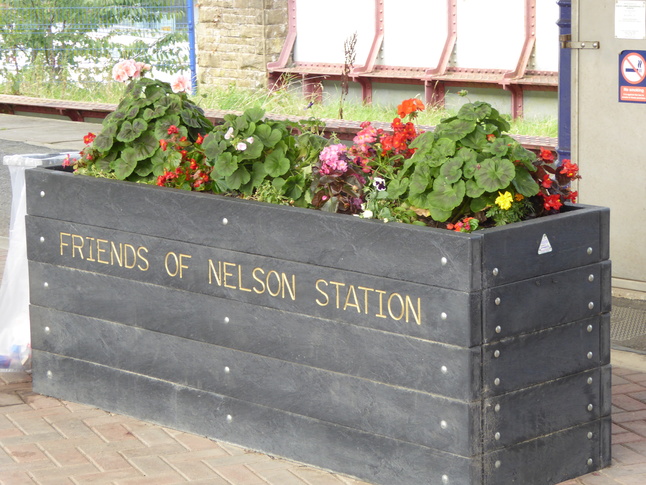 Nelson friends planter