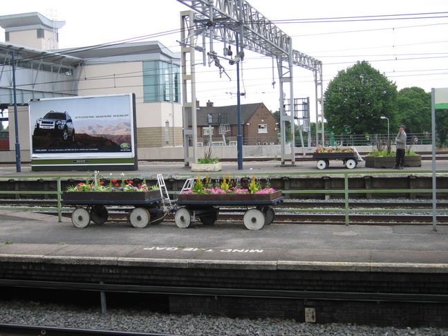 Nuneaton flowers