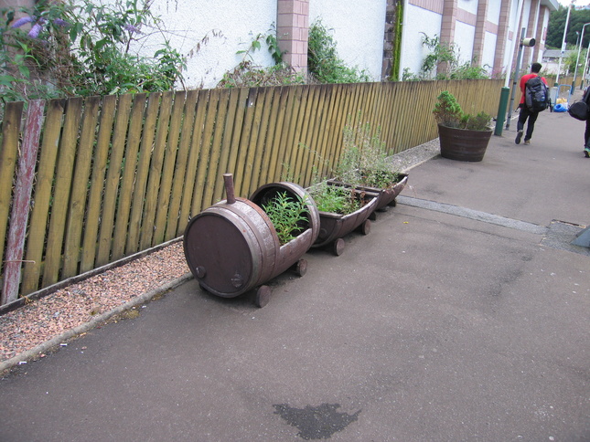 Oban train