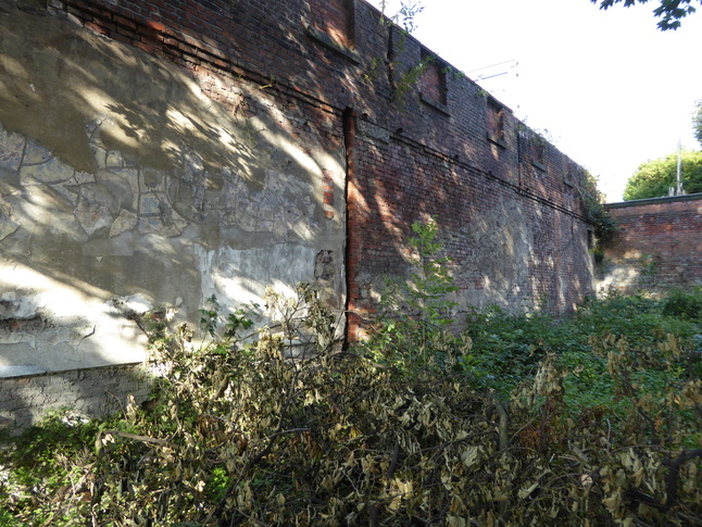 Patricroft old walls