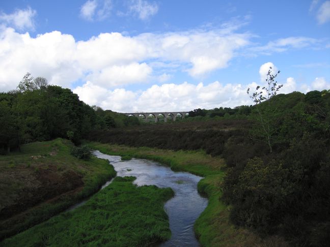 Carnon river