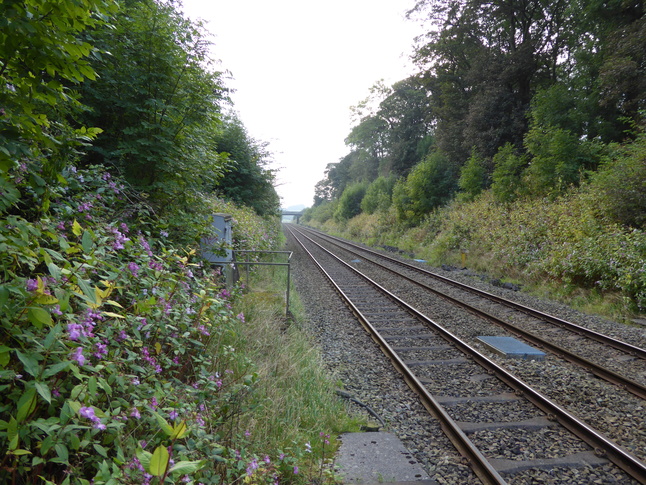 Pleasington looking west