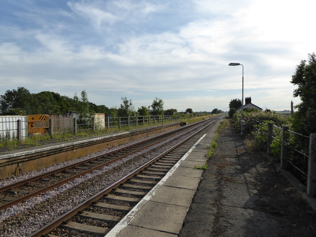 Shippea Hill looking west