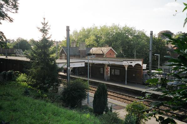 Stansted Mountfitchet
shrubbery
